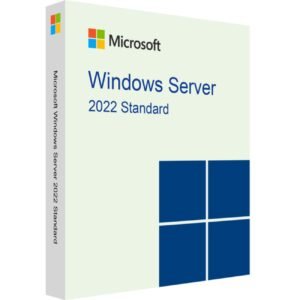 Windows Server Standard 2022 User Cals 100 PCS