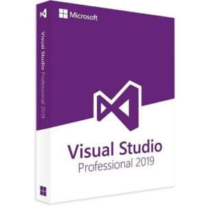 Visual Studio 2019 Professional 2 Users License Key