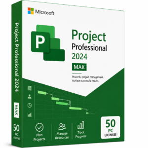 Project Professional 2024 license key